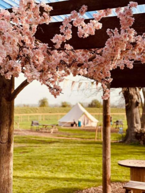 Willow Grove Farm Glamping